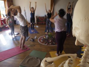 Anatomie Yogalehrerausbildung