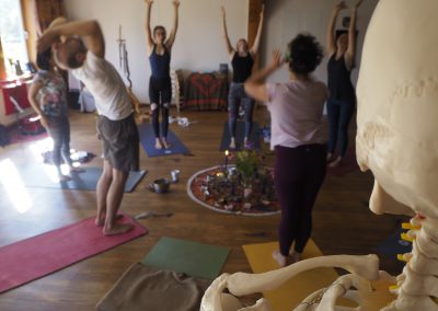 Anatomie Yogalehrerausbildung