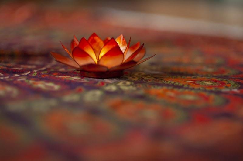 Lotus Licht